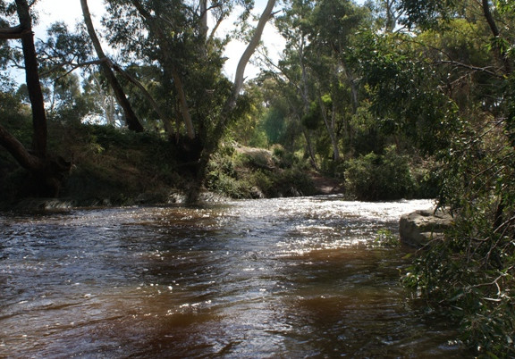 warburtons bridge